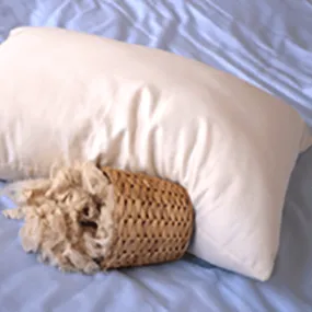 100% Natural Kapok Pillow with Organic Cotton Cover