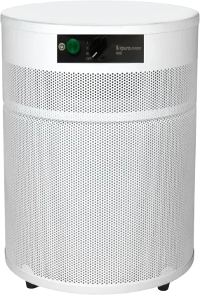 Airpura R400 The Everyday Air Purifier Cleaner 1000 sq. ft. New