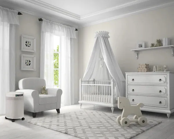 Airpura R714 - The Everyday Air Purifier