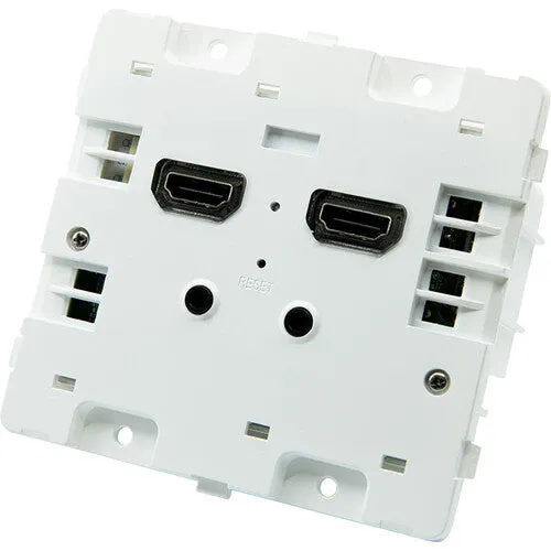 BirdDog BDWPOUT Wallplate Dual Output