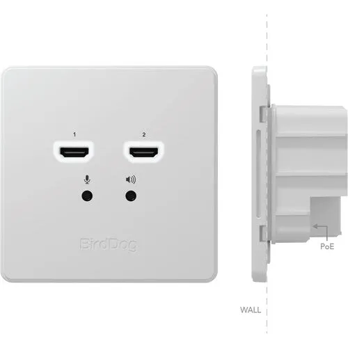 BirdDog BDWPOUT Wallplate Dual Output