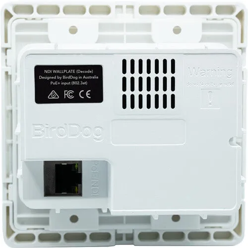 BirdDog BDWPOUT Wallplate Dual Output