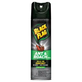 BLACK FLAG ANT & ROACH KILLER SPRING FRESH SPRAY