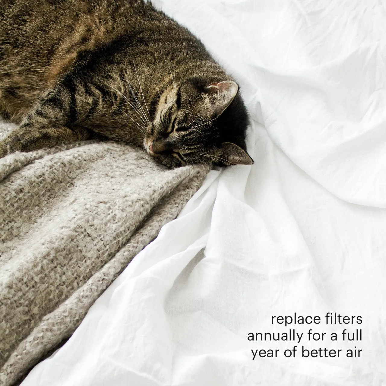 Brondell O2  Air Purification Filter Replacement Pack for Balance and Source
