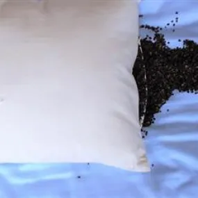 Buckwheat Pillow with Organic Cotton Cover