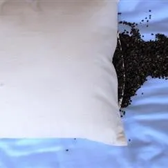 Buckwheat Pillow with Organic Cotton Cover