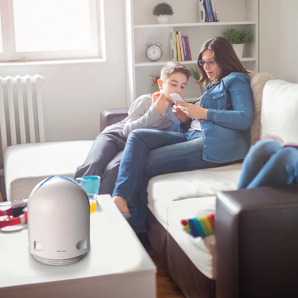 EdenPURE® 1000 Area Model Air Purifier by AirFree®