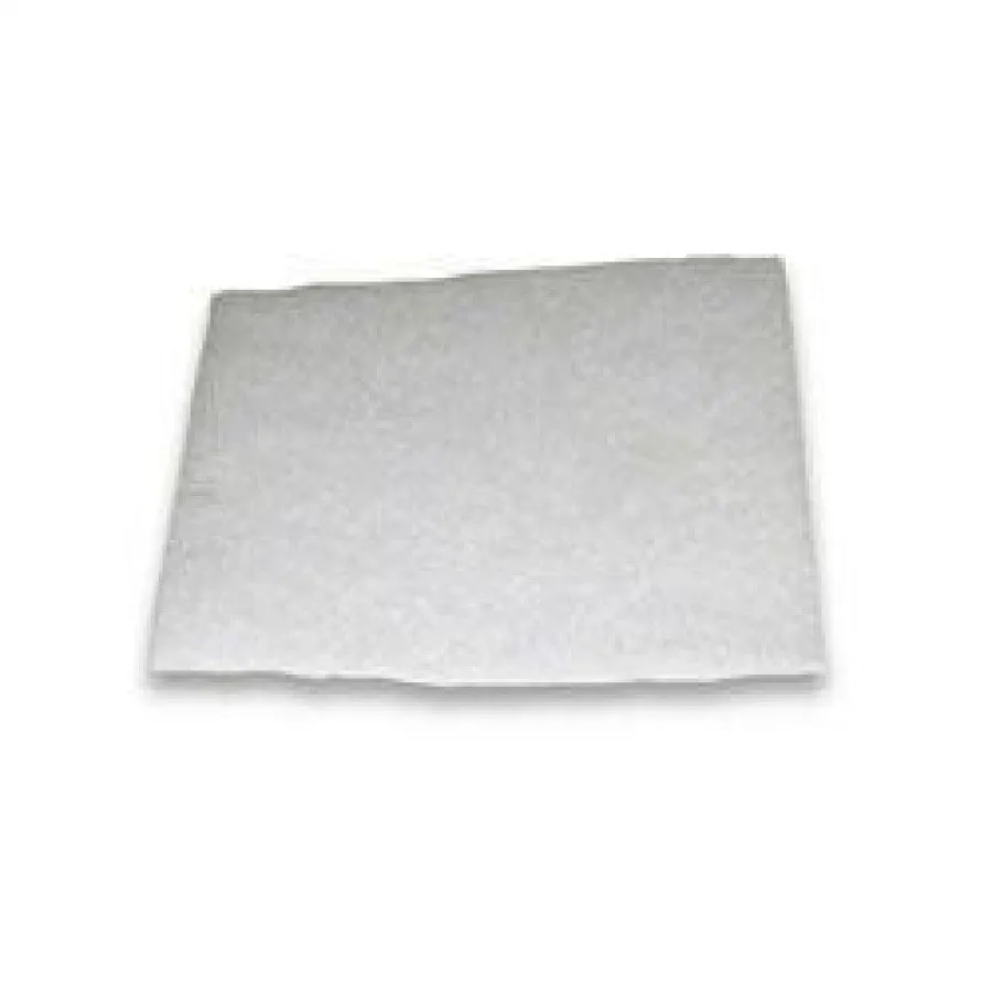 Hoover Canister Micro Exhaust Filter Part # 34174012