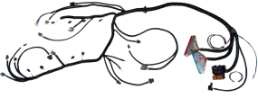 J30 LSx Swap Engine Harness - Gen 3 24X Engines