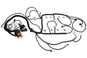 J30 LSx Swap Engine Harness - Gen 4 58X Engines