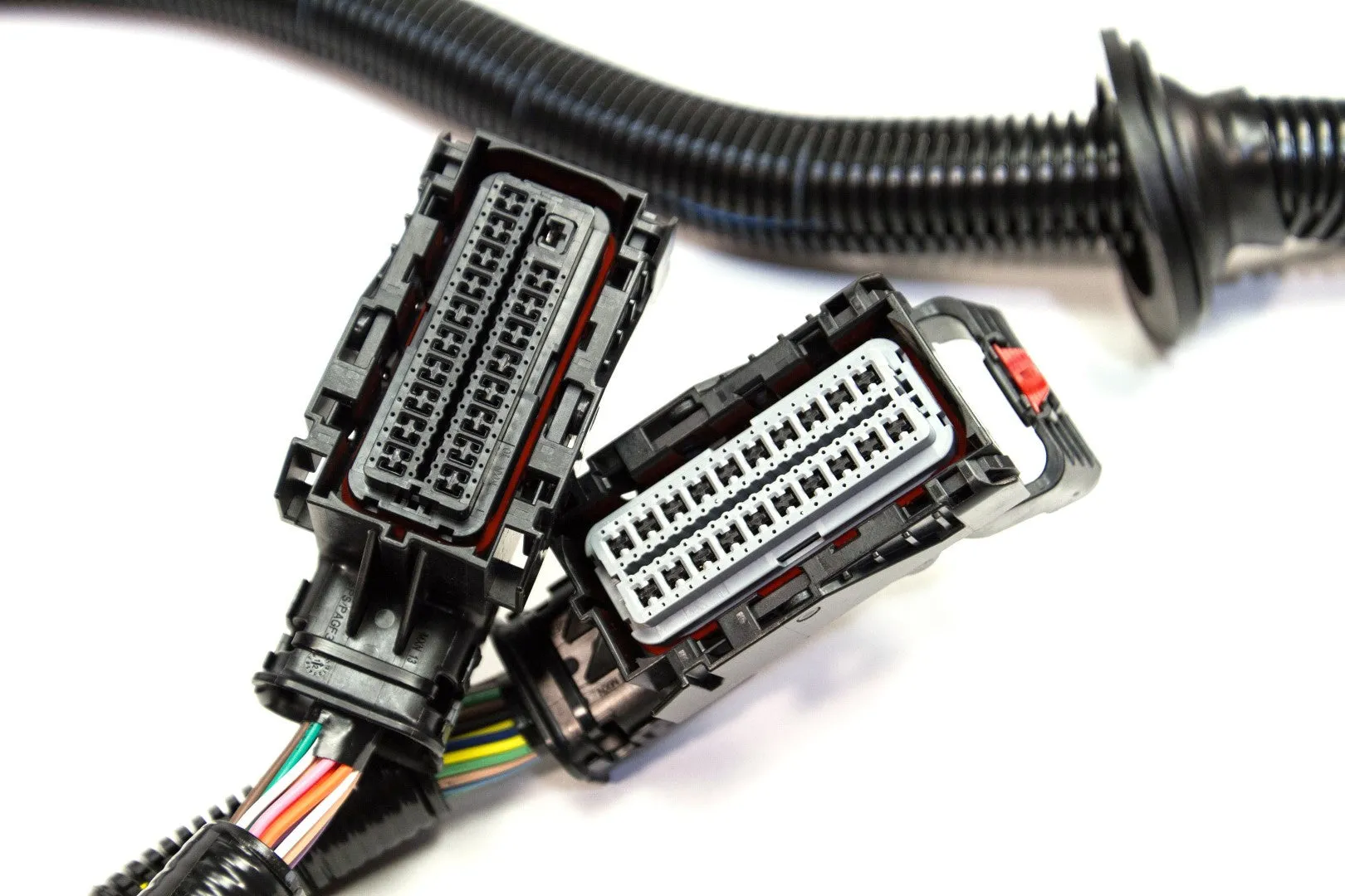 J30 LSx Swap Engine Harness - Gen 4 58X Engines