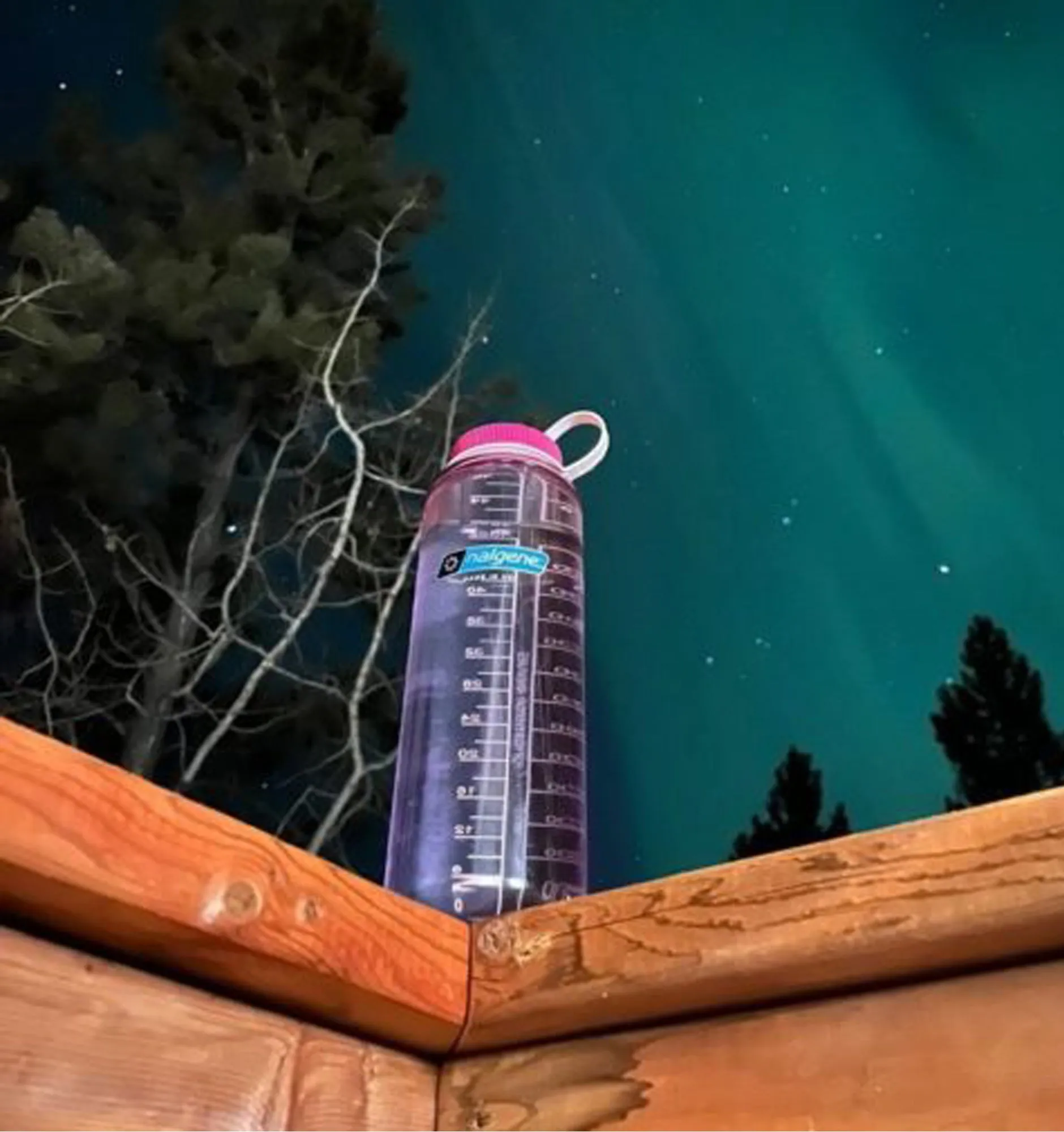 Nalgene Sustain Wide Mouth Silo Bottle